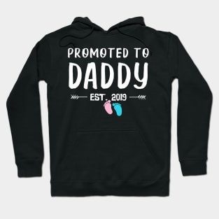 First Time Daddy New Dad Est 2019 Funny Father's Day Gifts Hoodie